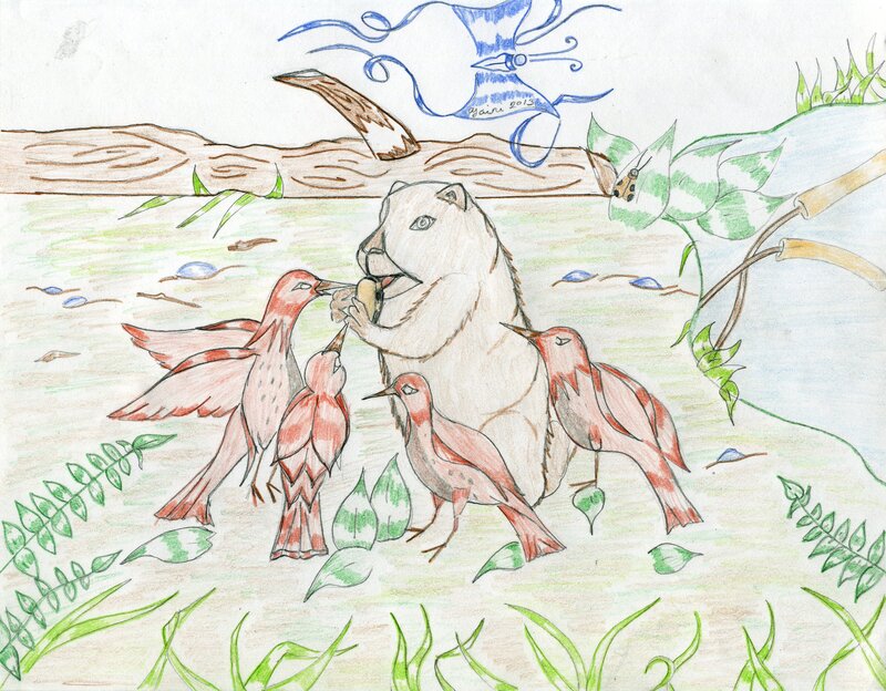 Bear Feeding Birds
