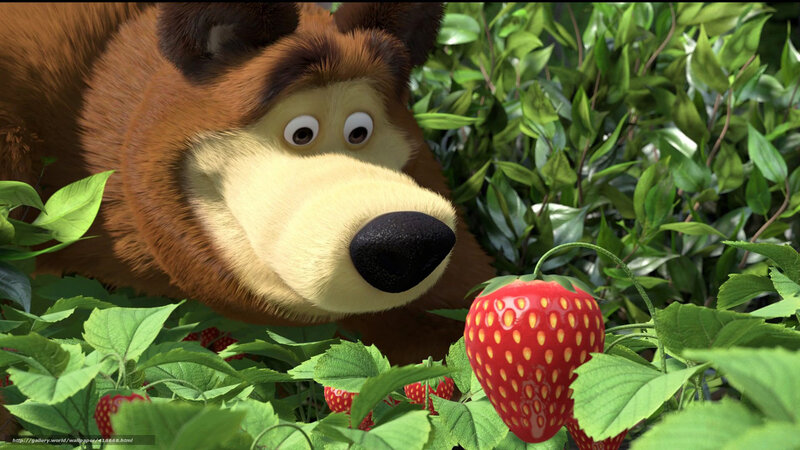 bear finds a strawberry