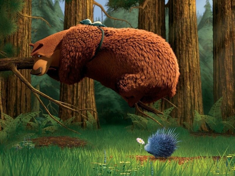 Bear Hanging from Branch