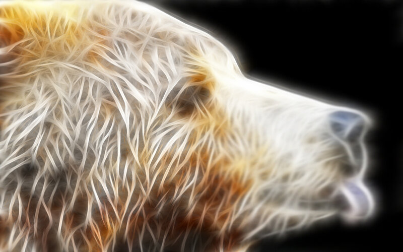 bear head in glowing style