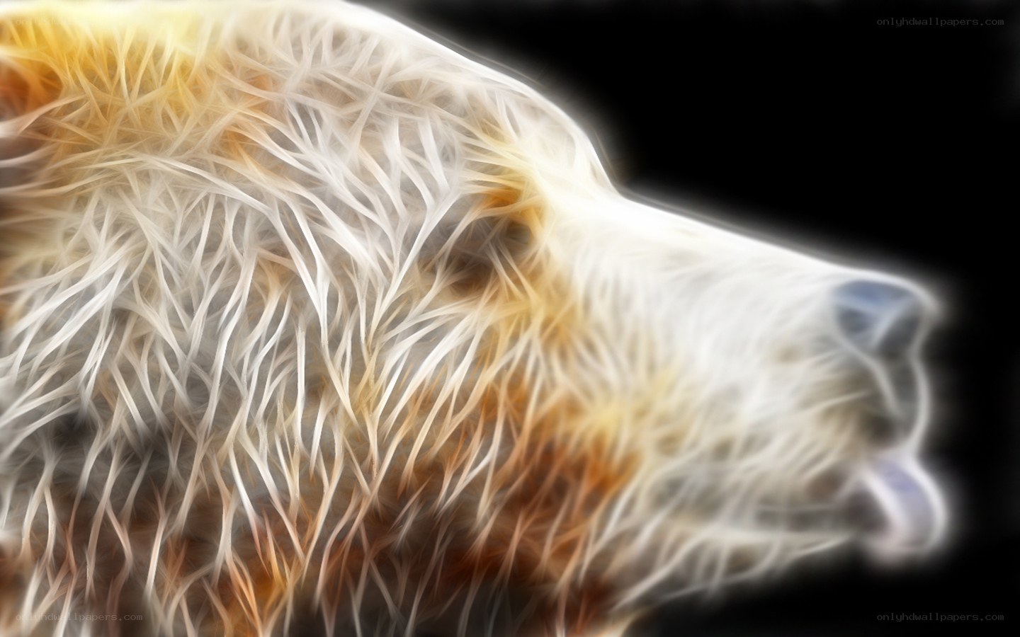 bear head in glowing style