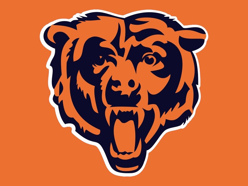 Bear Head Logo