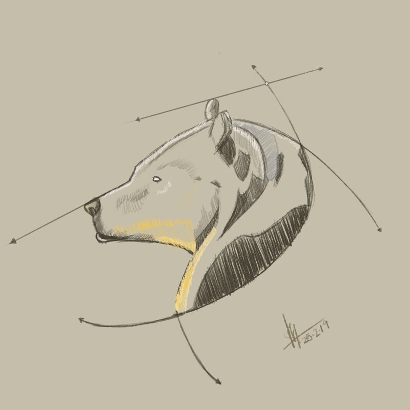 Bear Head Sketch