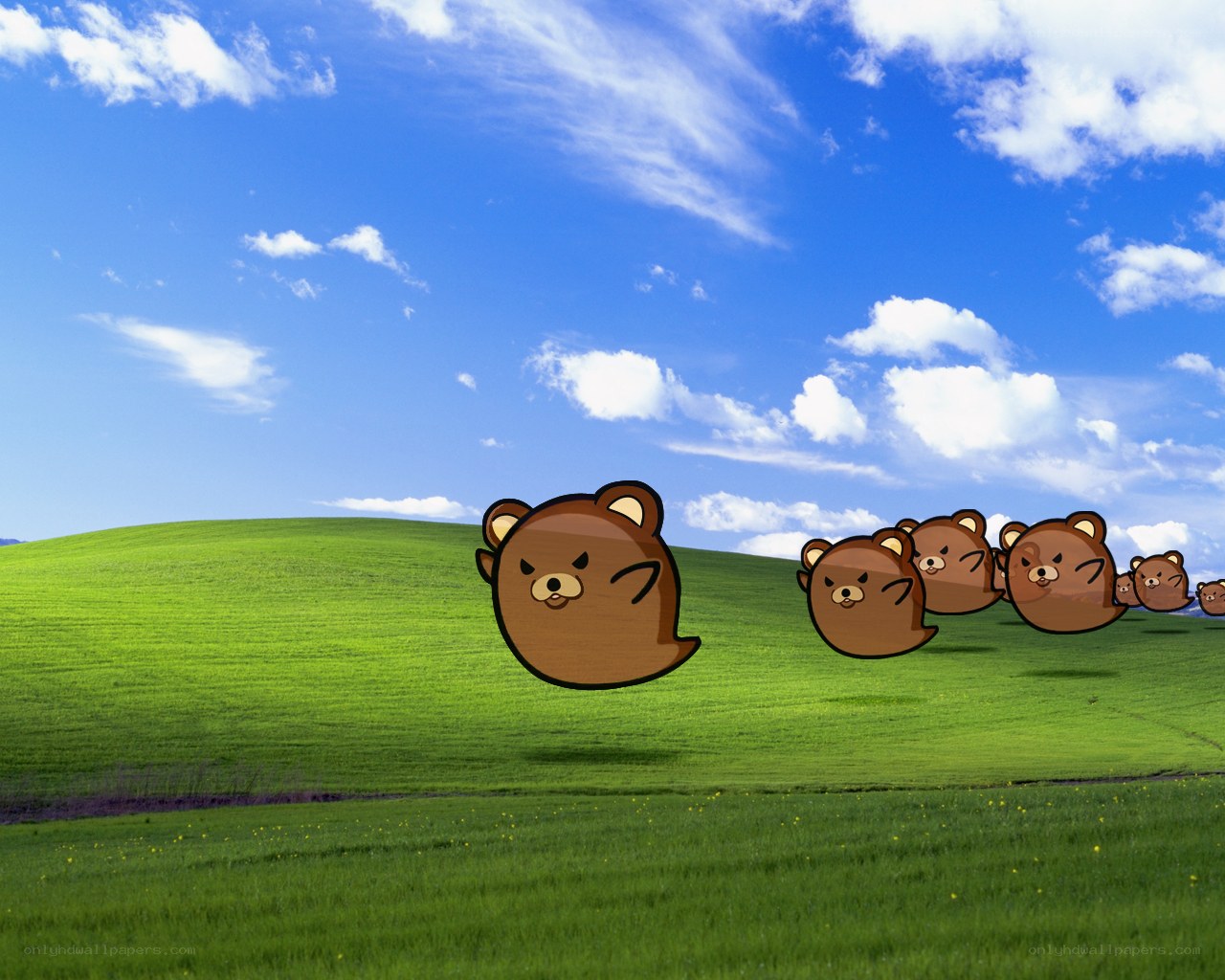 bear heads on a green hill