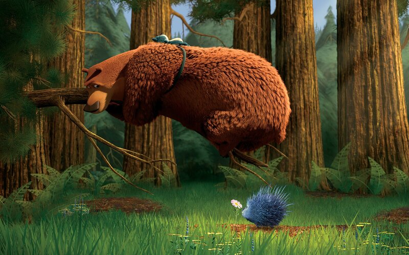 Bear Holding Branch