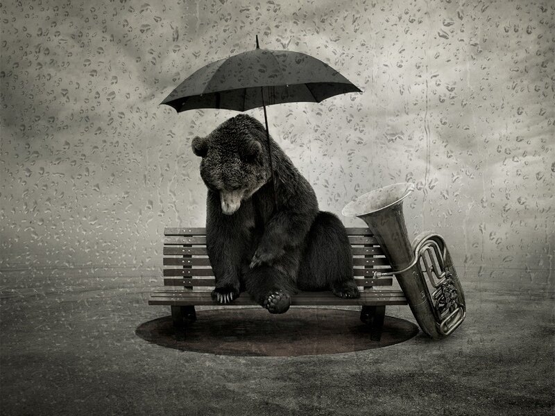 Bear Holding Umbrella