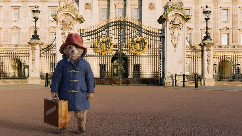 Bear in a Blue Coat