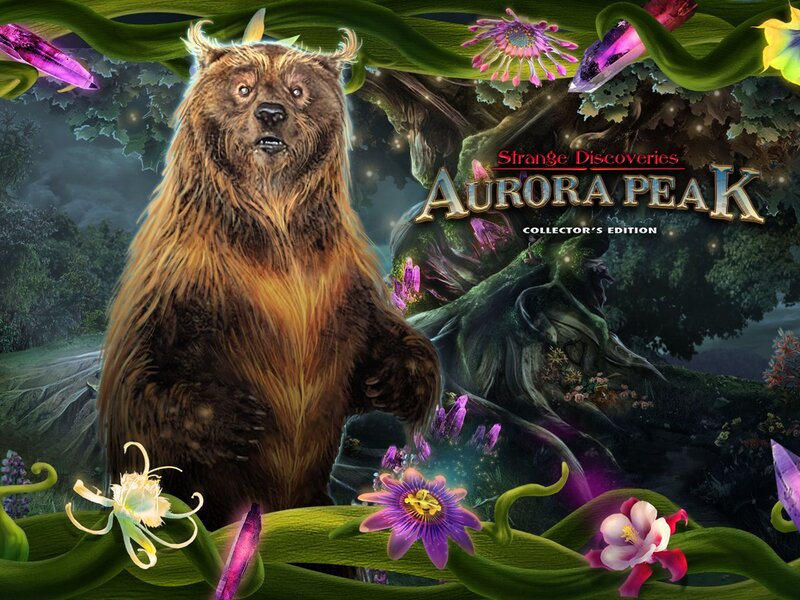 Bear in a Forest — Green