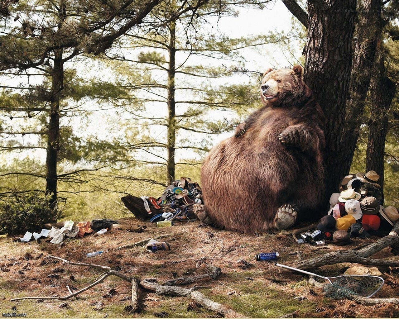 Bear in a forest with trash