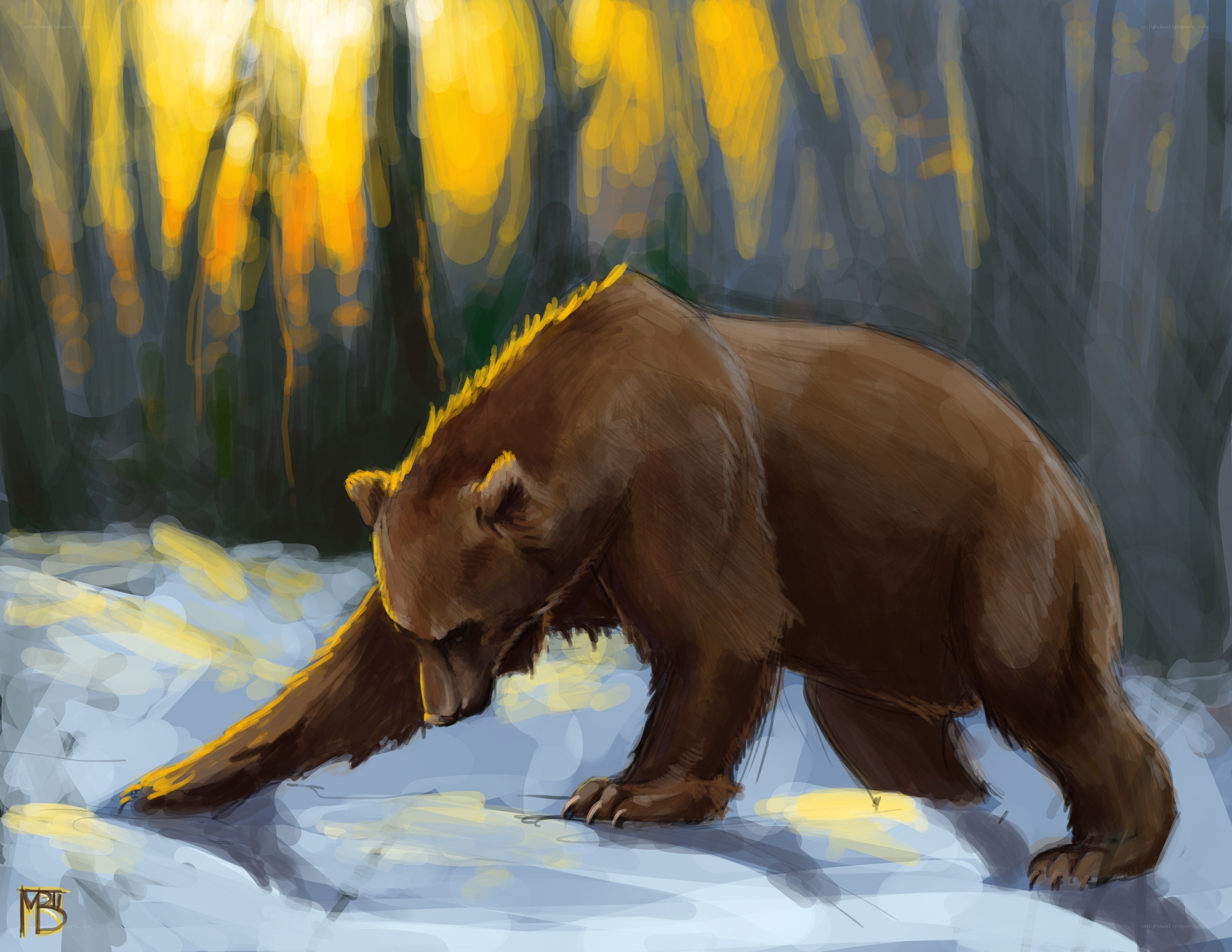 Bear in a forest