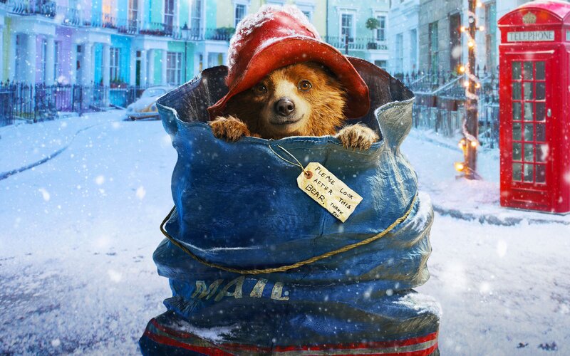 Bear in a Mailbag — Blue