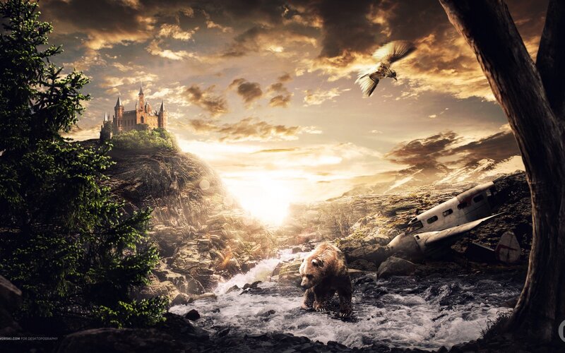 Bear in a River — Brown