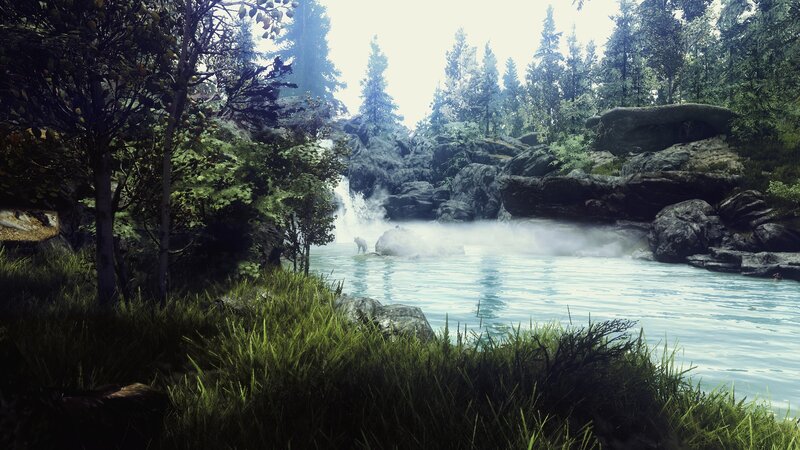 Bear in a River