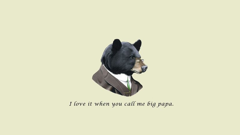 bear in a suit