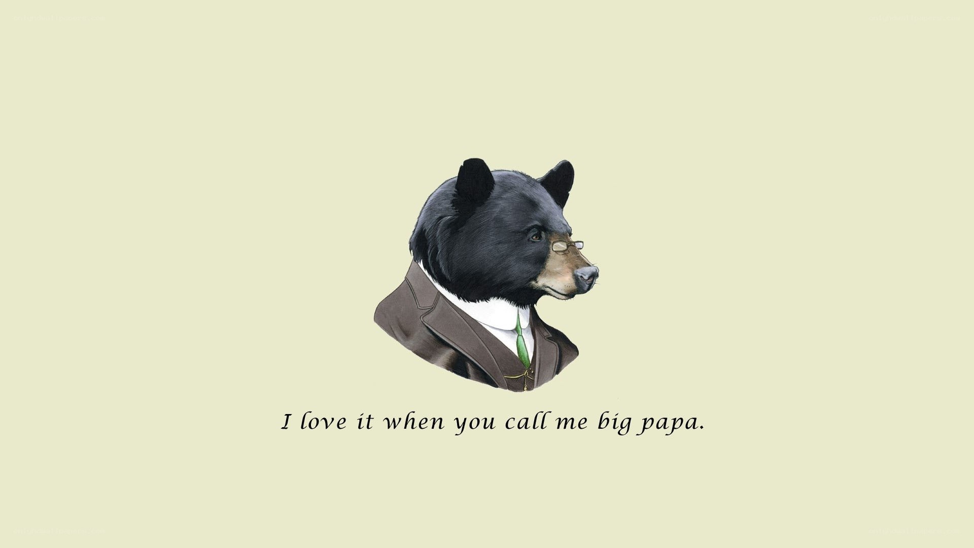 bear in a suit