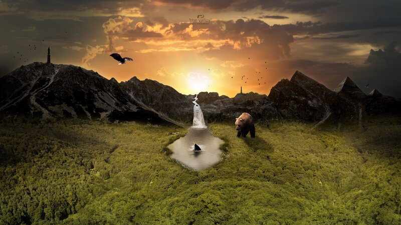 Bear in a Valley — Green, Dramatic