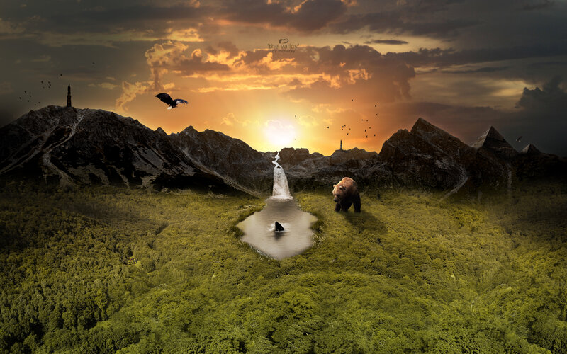 Bear in a Valley — Green