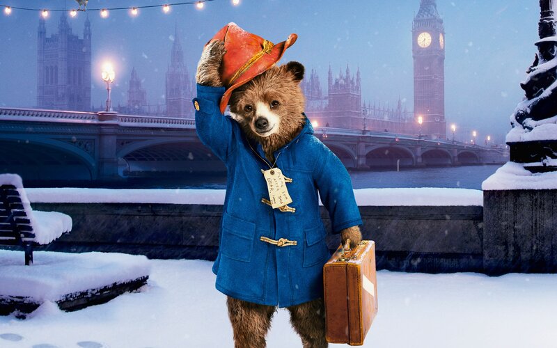 Bear in Blue Coat