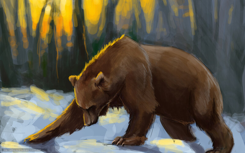 bear in forest at sunset