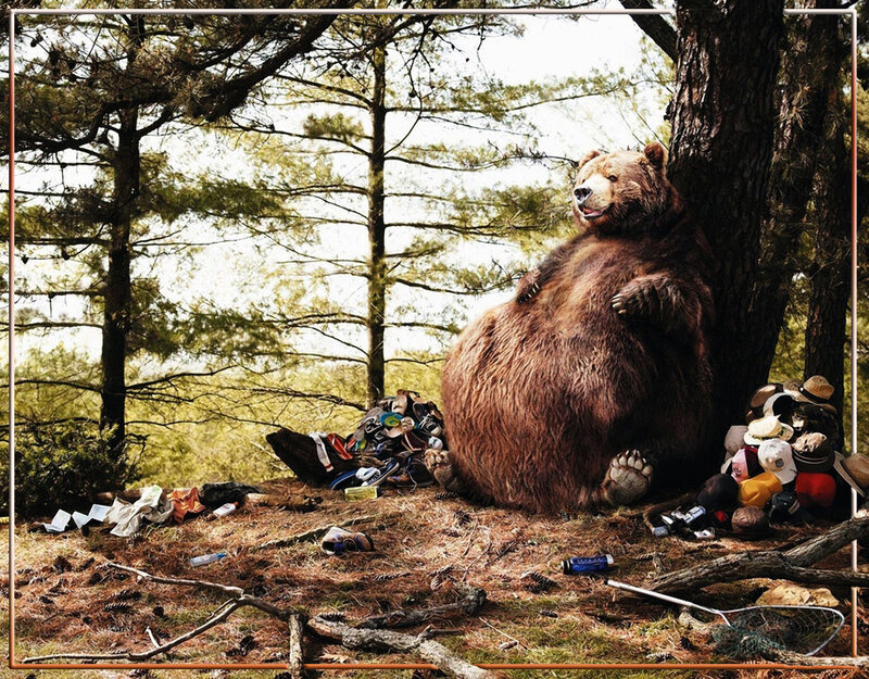 Bear in Forest — Brown, Calm