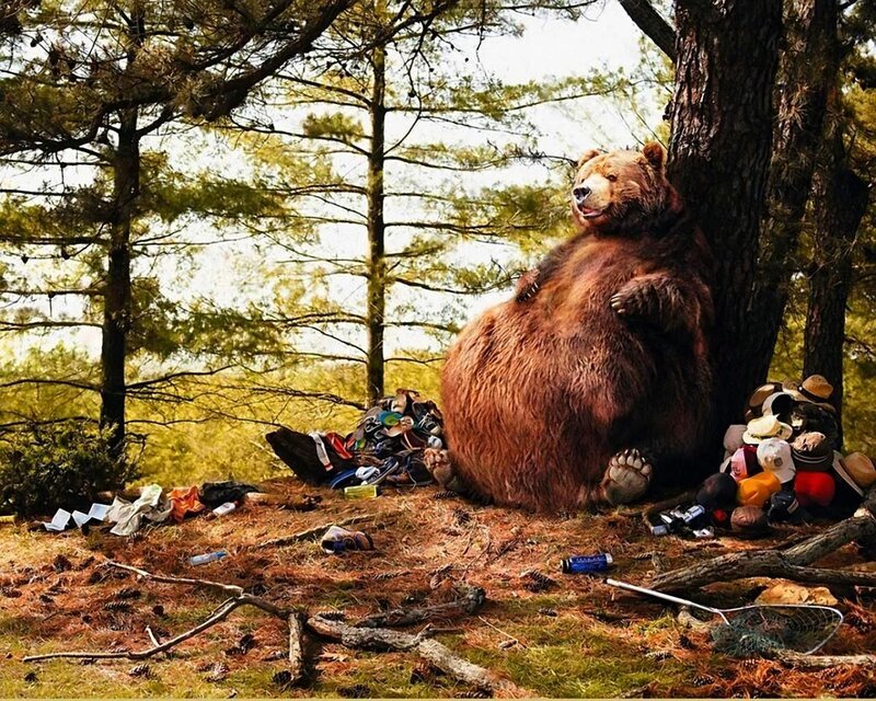 Bear in Forest — Brown