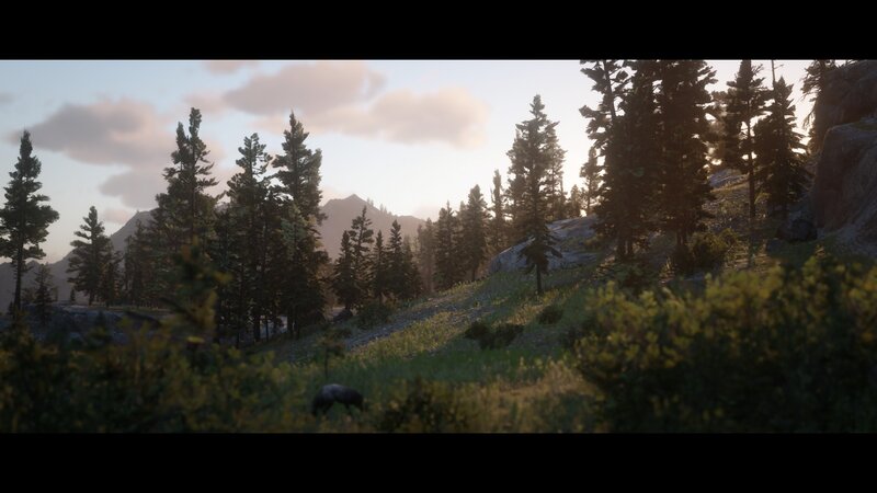 Bear in Forest — Green, Serene, Sunset