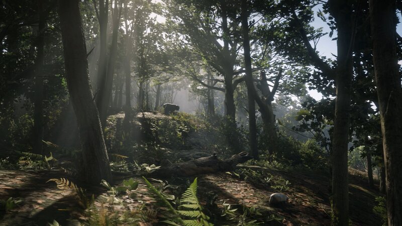 Bear in Forest — Green, Serene