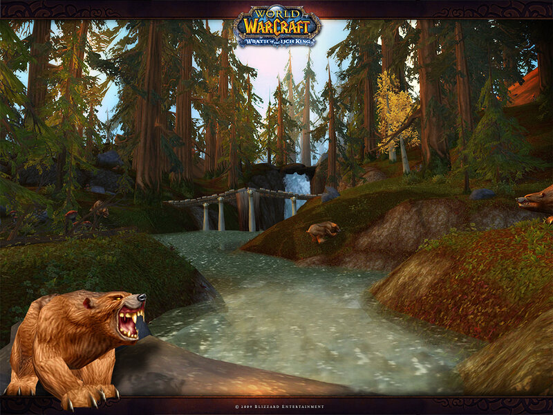 Bear in forest stream