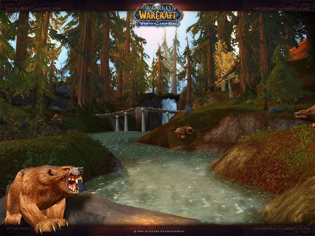 Bear in forest stream