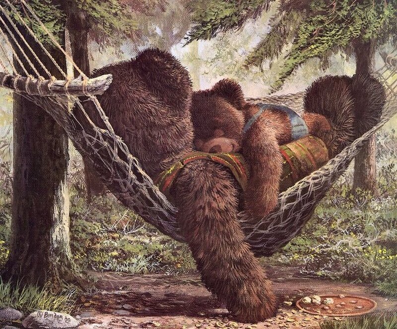 Bear in Hammock