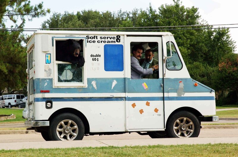 Bear in Ice Cream Truck