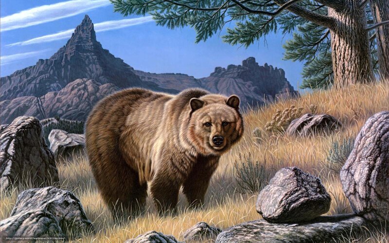 Bear in mountain landscape