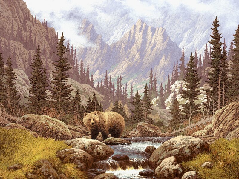 Bear in mountain stream