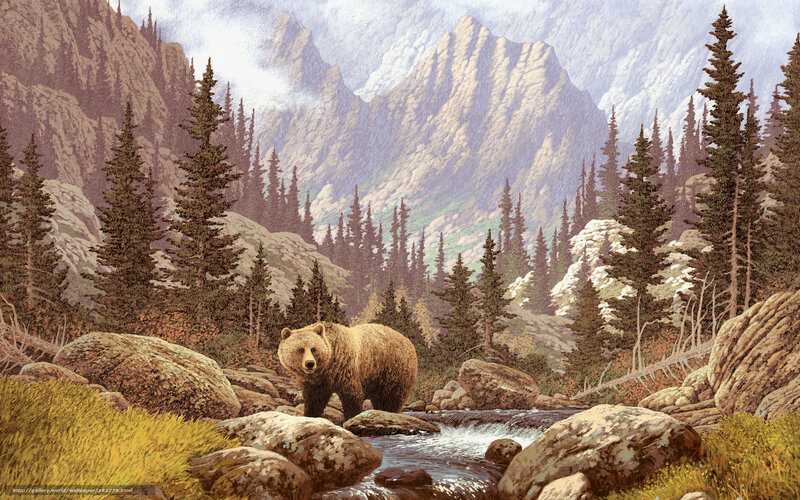 Bear in mountain stream