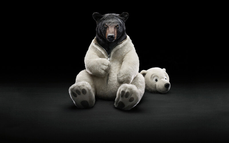 bear in polar bear costume