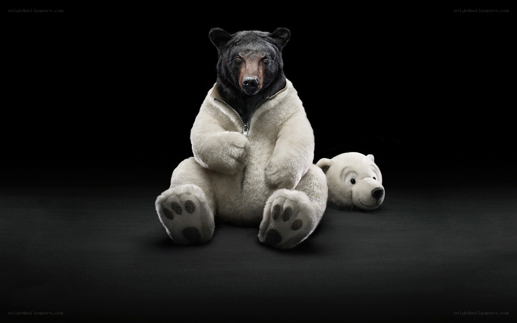 bear in polar bear costume