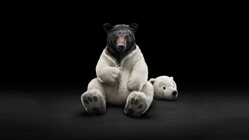 bear in polar bear costume