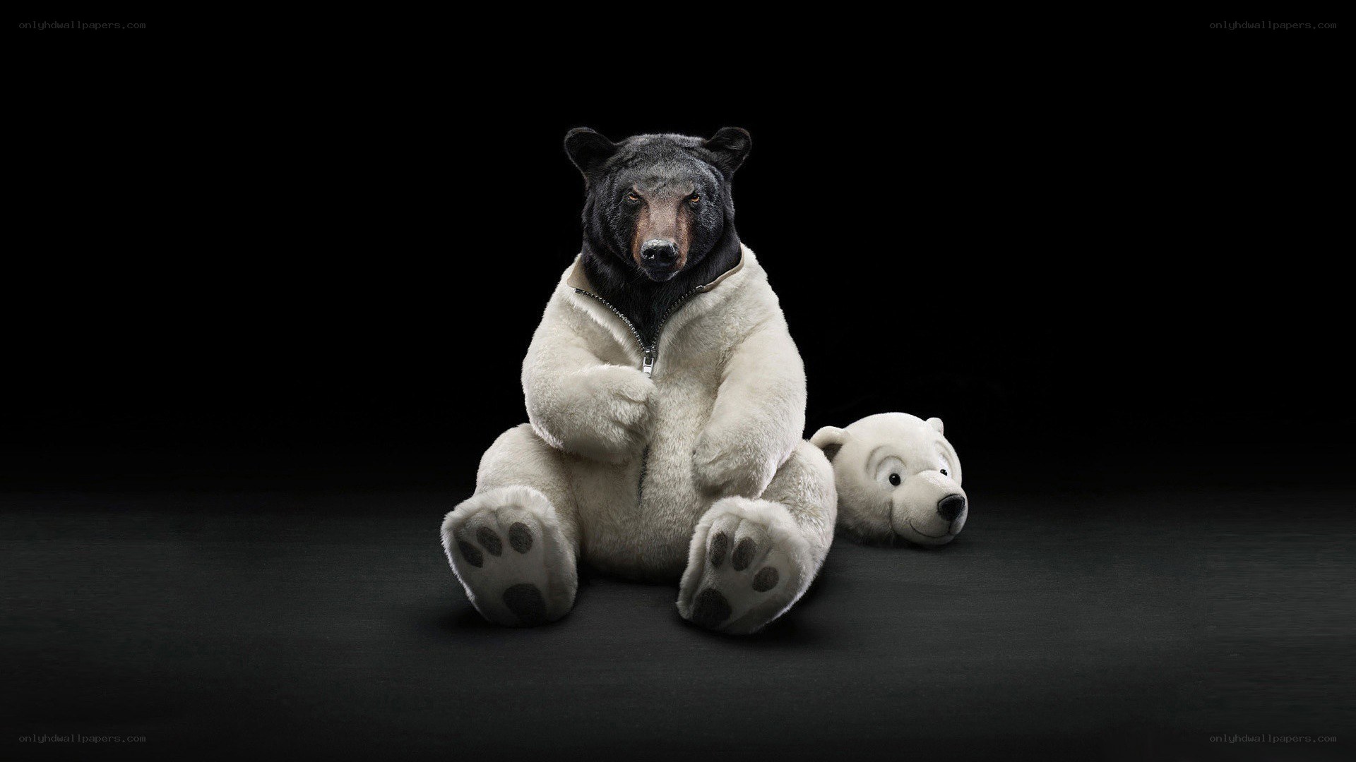 bear in polar bear costume
