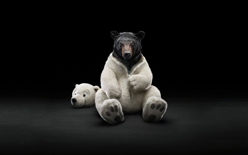 bear in polar bear costume