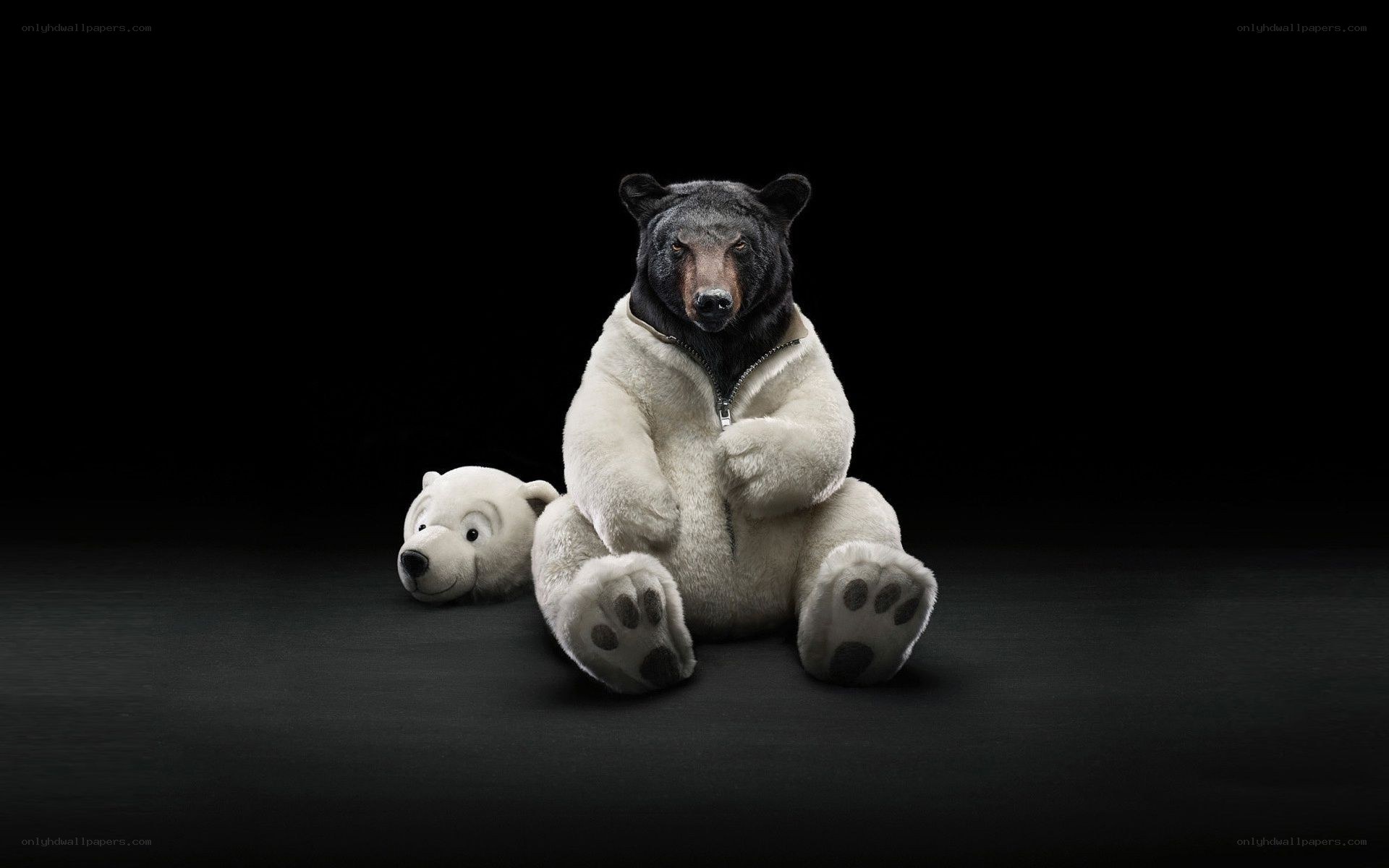 bear in polar bear costume