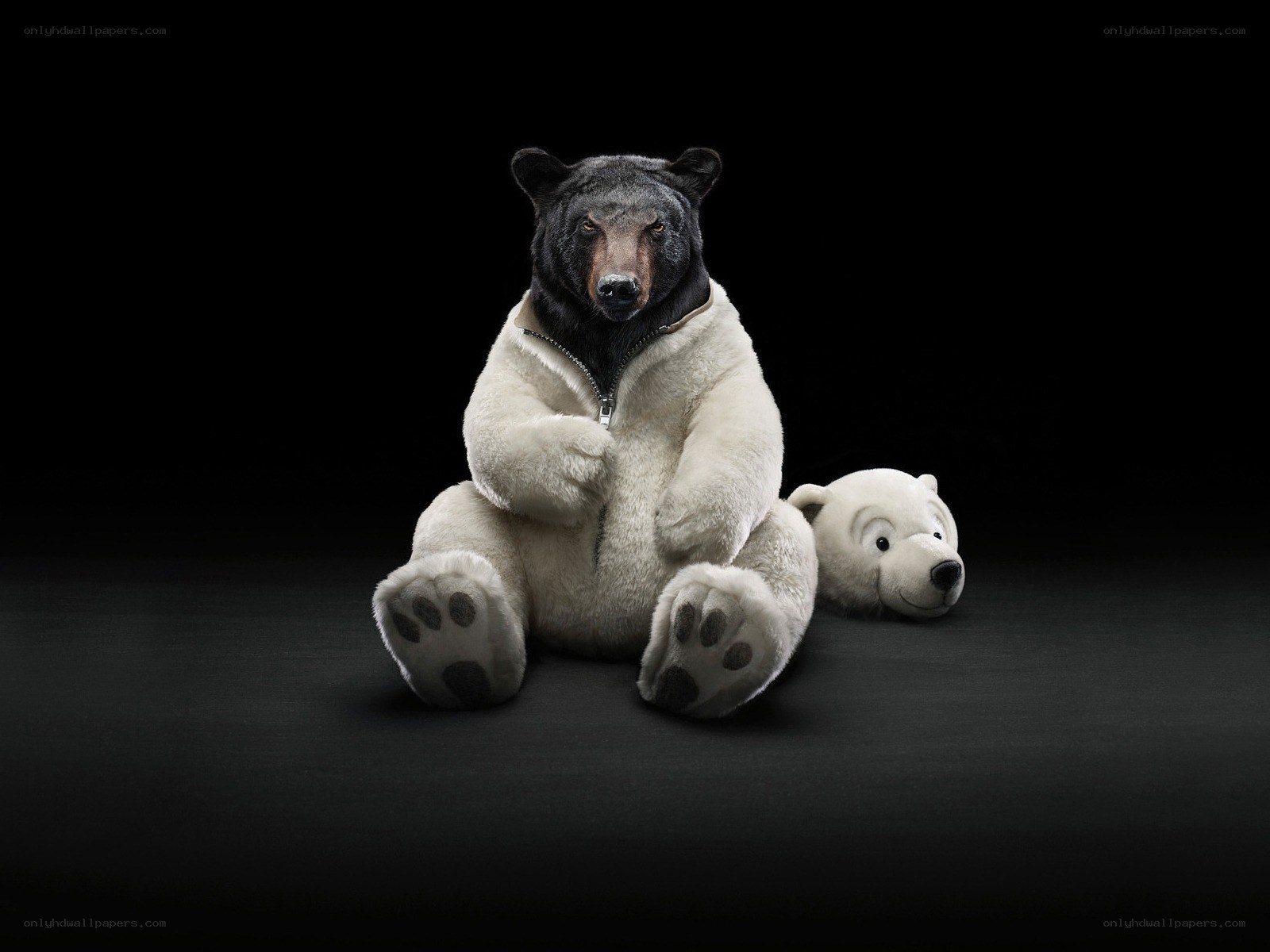 bear in polar bear costume