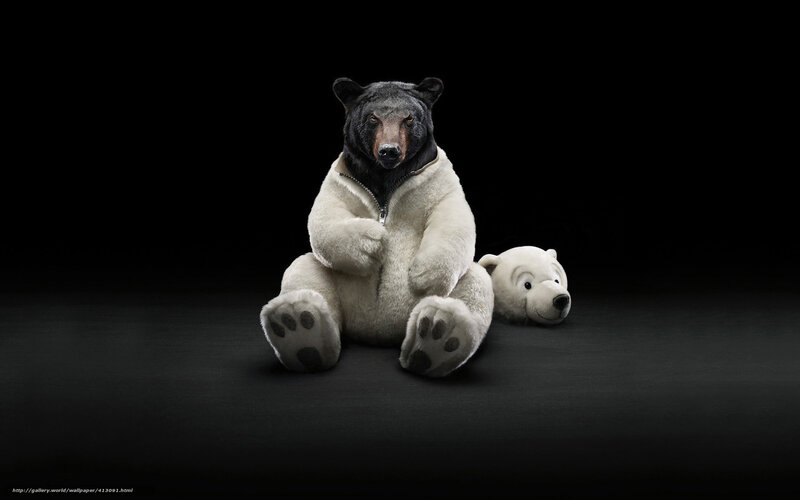 bear in polar bear costume
