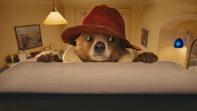 Bear in Red Hat — Brown