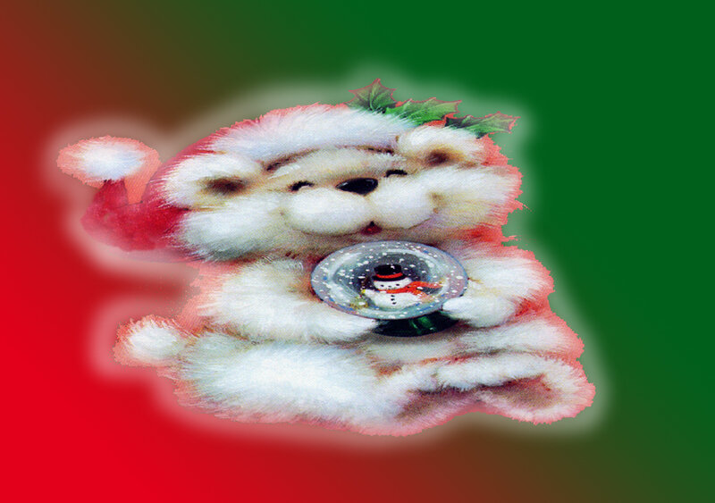 Bear in Santa Hat