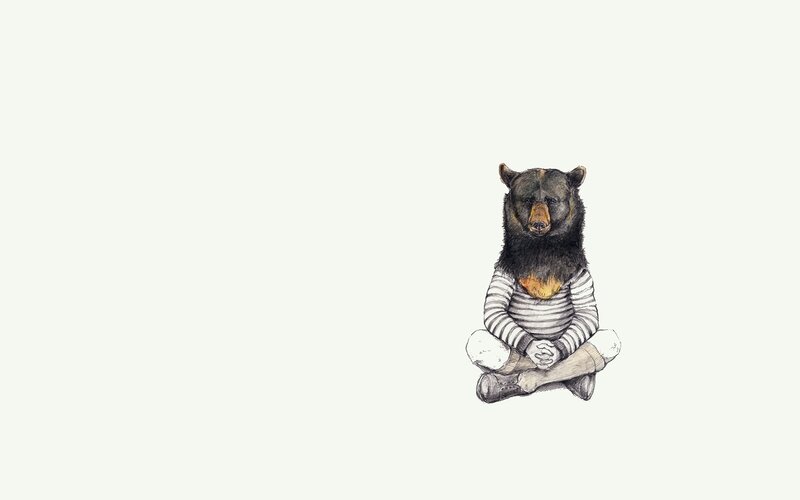 bear in striped shirt