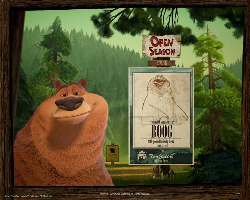 Bear in the forest
