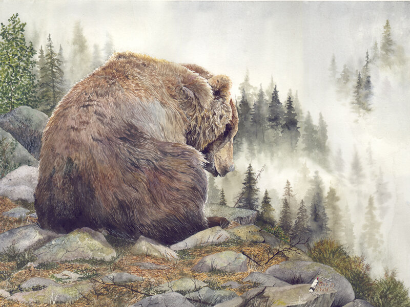 Bear in the misty forest
