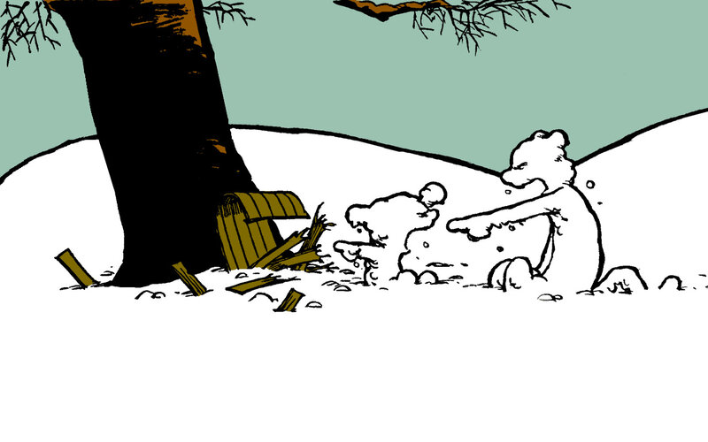 Bear in the snow