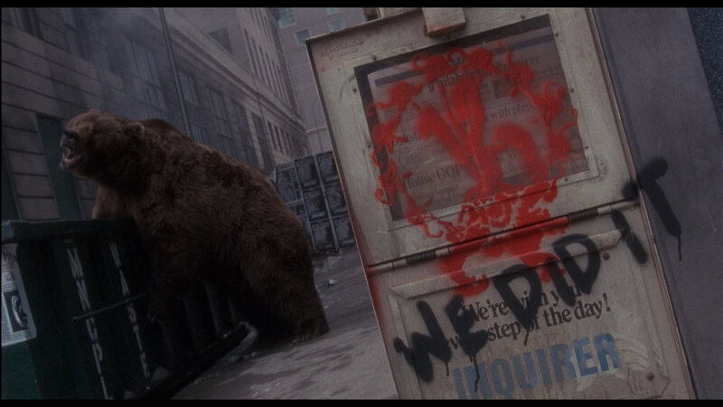 bear in urban setting