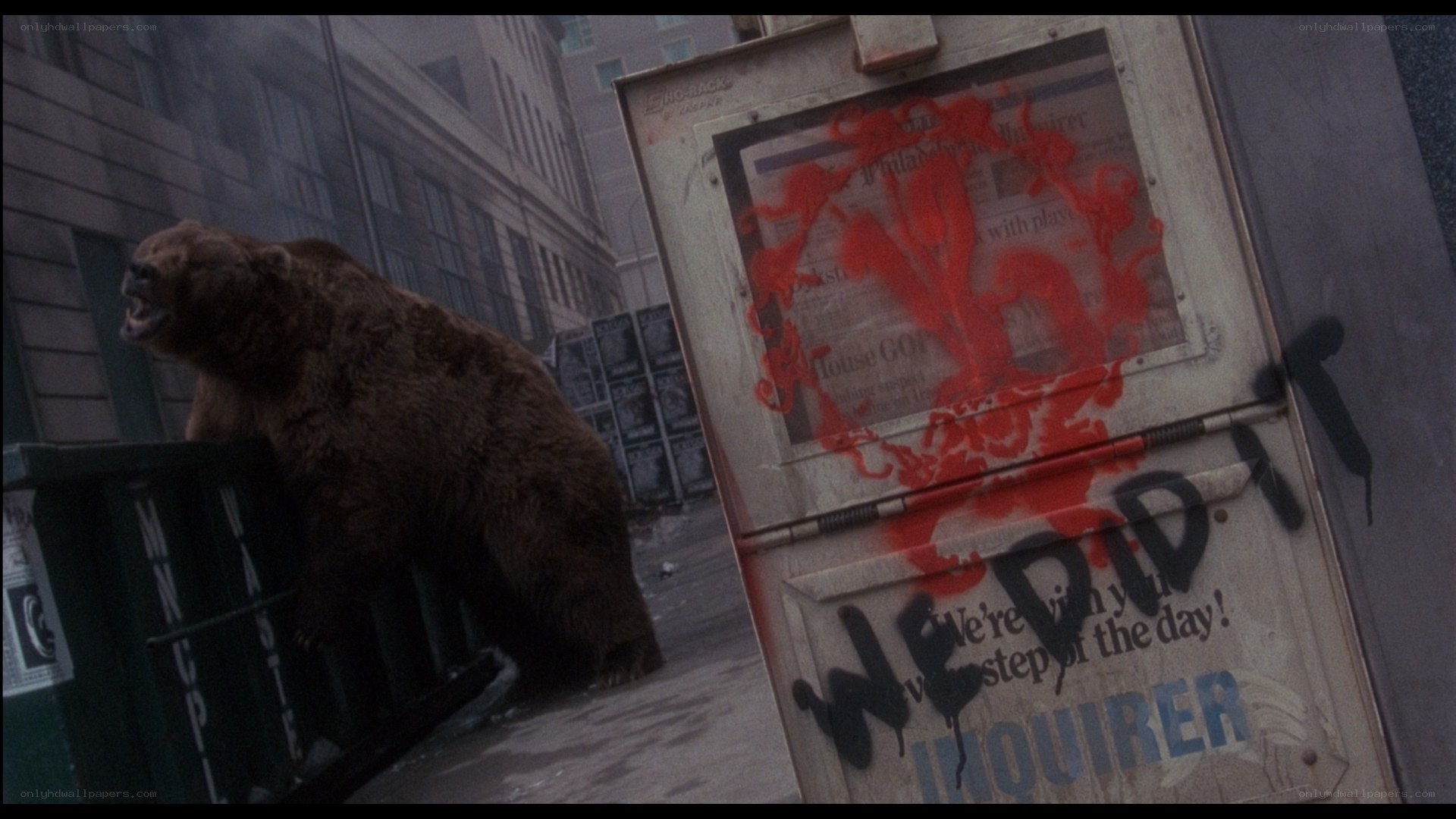 bear in urban setting